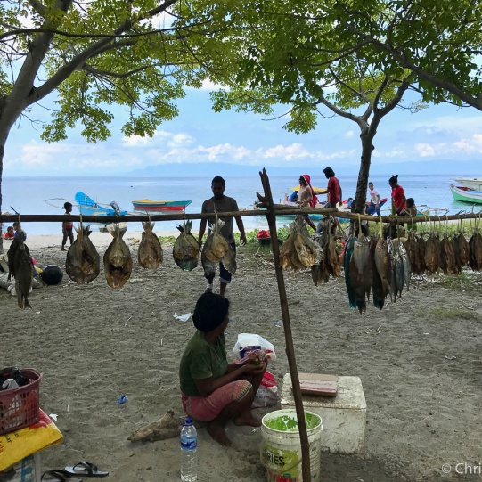 Fishing families selling their catch at the market in Beloi Village